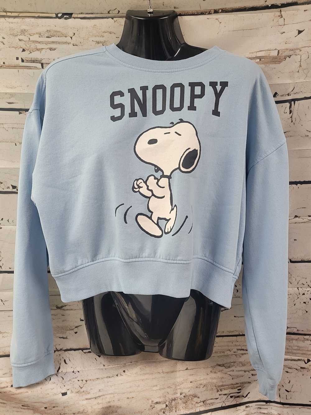 Peanuts Snoopy Blue Cropped Sweatshirt Pullover Long Sleeve